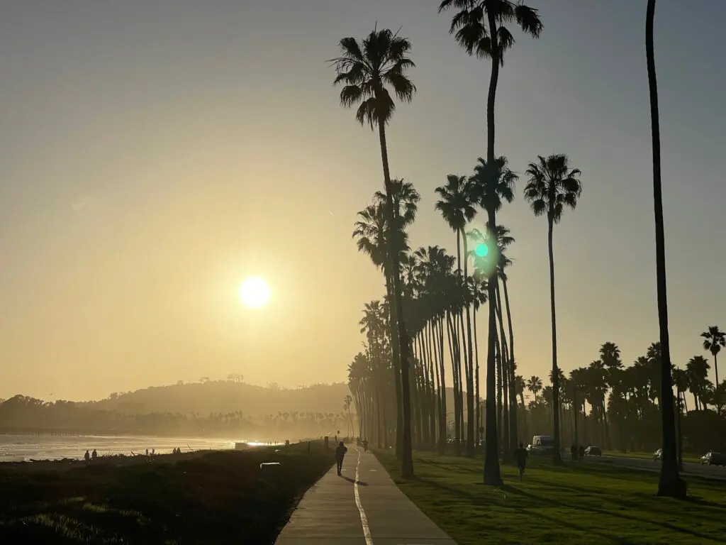 A road with palm trees on the side of it